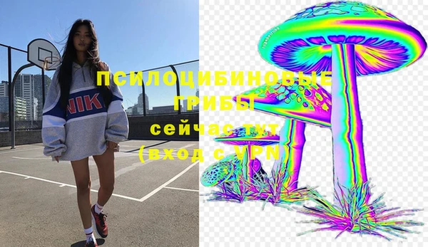 spice Ачинск