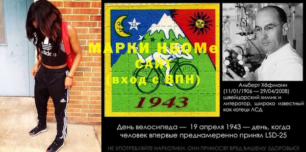 спайс Аша