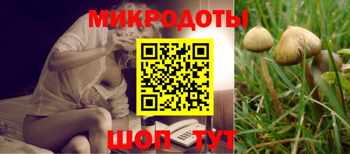 Псилоцибиновые грибы Magic Shrooms Балашов