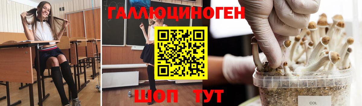 Галлюциногенные грибы MAGIC MUSHROOMS  Балашов 