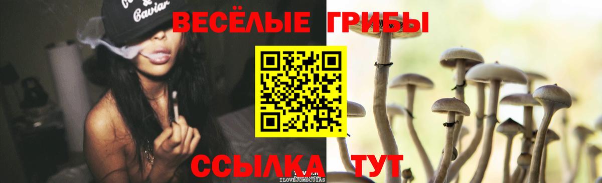 Галлюциногенные грибы Cubensis  Вход с VPN  Балашов 
