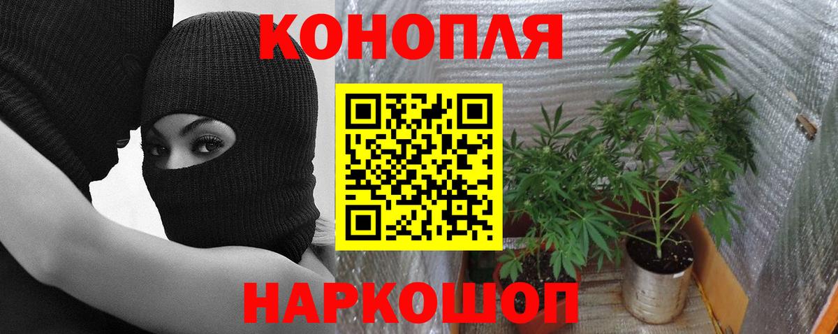 Шишки марихуана ГИДРОПОН Балашов