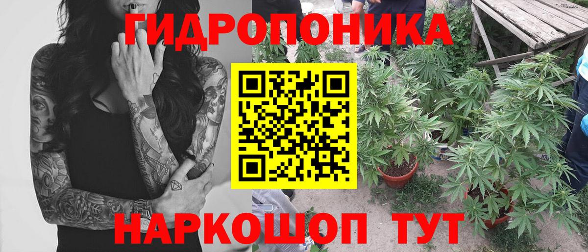 МАРИХУАНА индика  Бошки марихуана Amnesia  Балашов  Конопля OG Kush  Бошки Шишки SATIVA & INDICA 